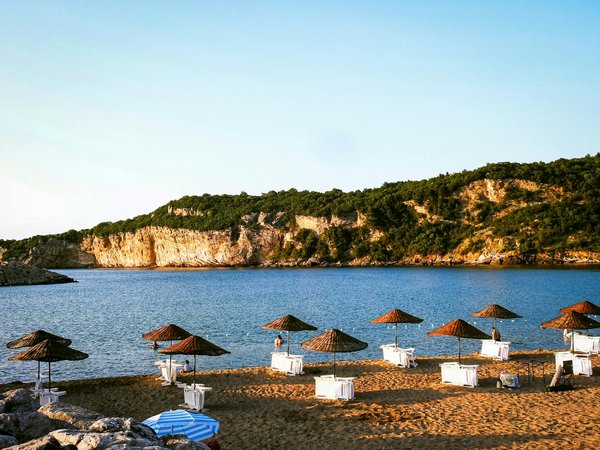 Renforcez Votre Santé Hivernale : Découvrez les Superfruits Vitaminés pour une Immunité de Fer